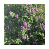 セラミックタイル(4.25" x 4.25") タイル (正面)