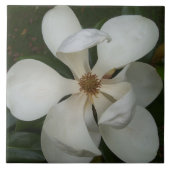 セラミックタイル – Southern Magnolia Blossom II (正面)