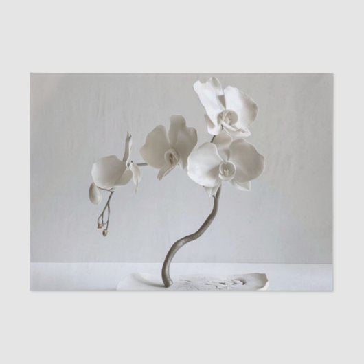 セラミックニュートラルオーキッドルーペ 薄葉紙 (正面)