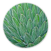 セラミックノブ/アガブプラント セラミックノブ (正面)