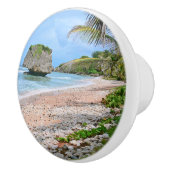 セラミックノブ/バルバドスビーチシーン/ラージロック セラミックノブ (右)