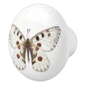 セラミックノブ – 白、茶色、オレンジ (右)