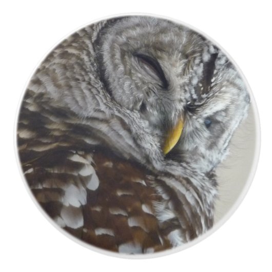 セラミックフクロウのドアノブ セラミックノブ (正面)