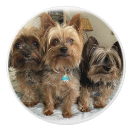 セラミックプル セラミックノブ