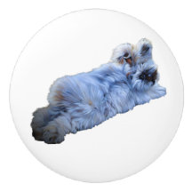 セラミックプル