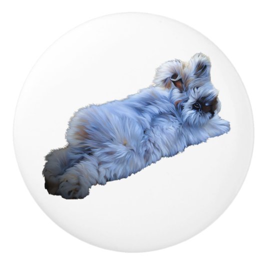 セラミックプル セラミックノブ (正面)