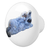 セラミックプル セラミックノブ (右)