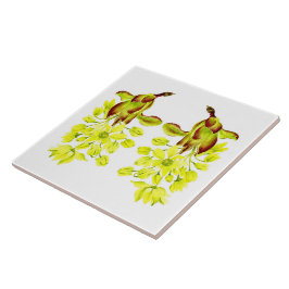 セラミックメリータイル上の'モプル' (I) タイル