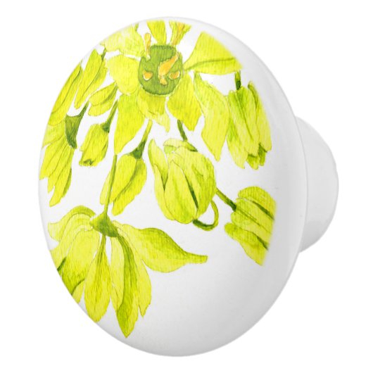 セラミックメリープル上の'Maples' (I) セラミックノブ (右)