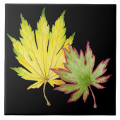 セラミック日本のタイルのカエデ(1) タイル (正面)