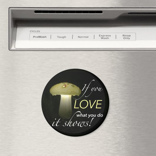 セラミック白熱［赤熱］光を放つク太陽ののインスピレーション マグネット (インサイチュ (食洗機))