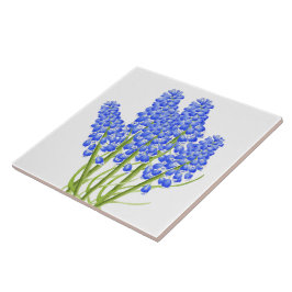 セラミック自然タイルの春(M) タイル