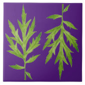 セラミック離れタイルにワイルドな タイル (正面)