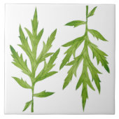 セラミック離れタイルの野生の(2) タイル (正面)