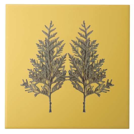 セラミック タイルの冬のテクスチャー トレジャー - D2 タイル (正面)