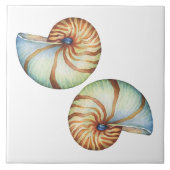セラミック タイル - シェル (正面)