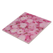 セラミック タイル ピンク 桜の花 植物園 (側面)