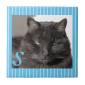 セラミッパーソナライズされたク猫タイル タイル (正面)