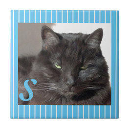 セラミッパーソナライズされたク猫タイル タイル