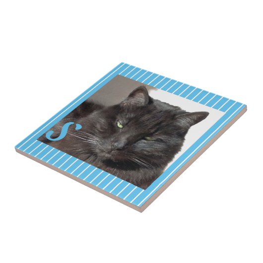 セラミッパーソナライズされたク猫タイル タイル (側面)