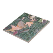 セラミッ葉クタイル タイル (側面)