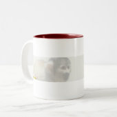 セラーのマグ ツートーンマグカップ (正面左)