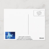 セラ芸術的リアンブルーのDove Outline Art ポストカード (裏面)