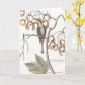 セリグマン – ケーツビー カード (黄色い花)