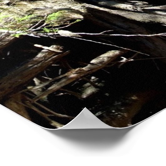 セルウェイ川 ポスター (角)