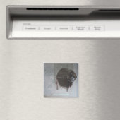 セルカデイトゥオオッキのvado マグネット (インサイチュ (食洗機))