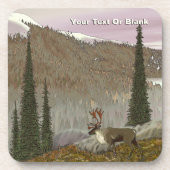 セルカークカリブー コースター (正面)