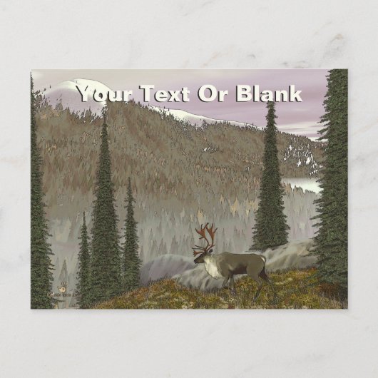 セルカークカリブー ポストカード (正面)