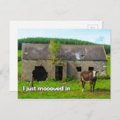 セルティック・アイルランド私は牛の葉書で引っ越したばかりだ ポストカード (正面/裏面)