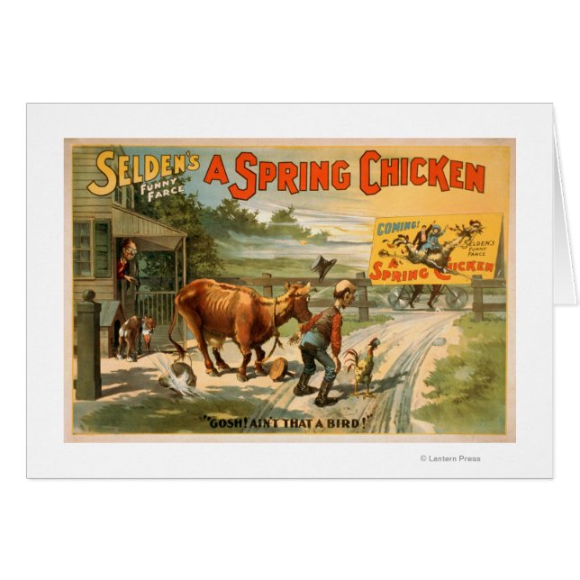 セルデンおもしろいズ・ファース、春チキン遊 (正面横)