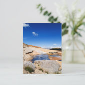 セルトゥン#12 ポストカード (スタンド正面)