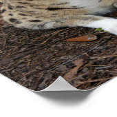 セルバル003 ポスター (角)