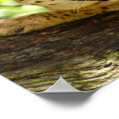 セルバル035 ポスター (角)