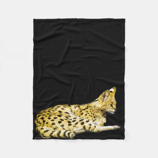 セルバル フリースブランケット (正面)