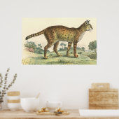 セルバル ポスター (キッチン)