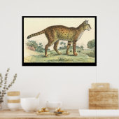 セルバル ポスター (キッチン)