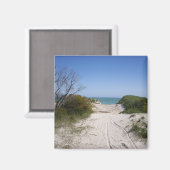 セルバンテスWAマグネット マグネット (正面/裏面)