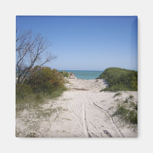 セルバンテスWAマグネット マグネット (正面)