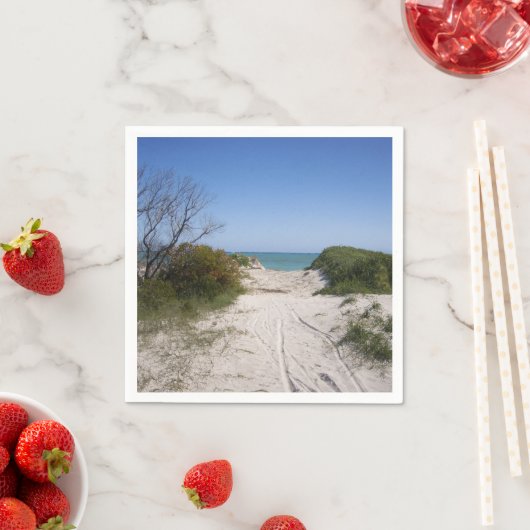 セルバンテスWA紙 スタンダードカクテルナプキン (インサイチュ)