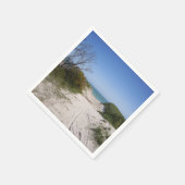 セルバンテスWA紙 スタンダードカクテルナプキン (角)