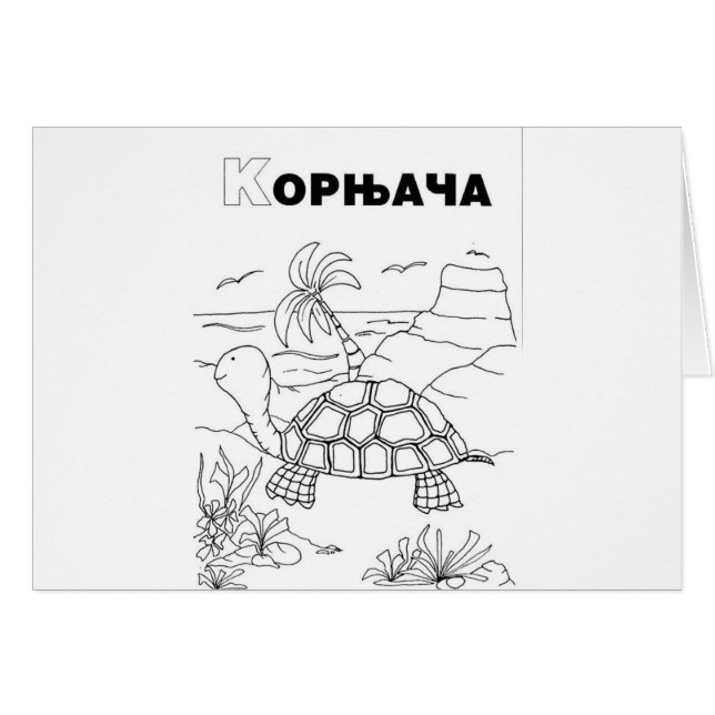 セルビアのキリル文字カメ (正面横)