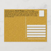 セルビアの修道院 – ミレシェヴァ修道院2 ポストカード (裏面)