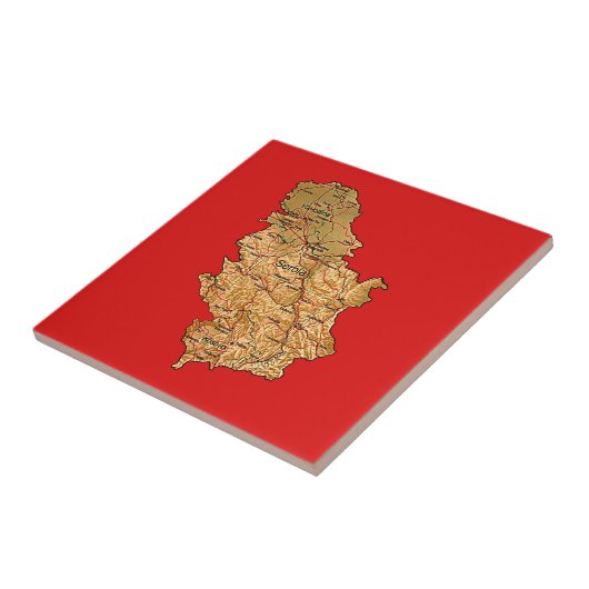 セルビアの地図のタイル タイル (側面)