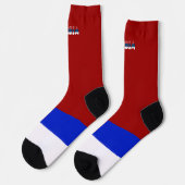 セルビア国旗 ソックス (左)