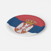 セルビア，セルビア国旗のパーティー，誕生日/スポーツ ペーパープレート (アングル)