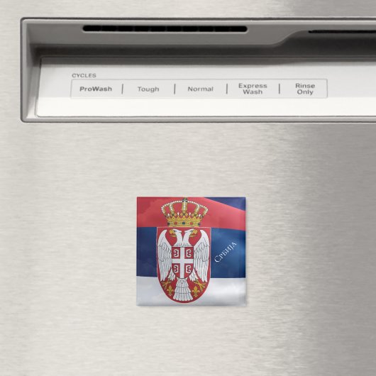 セルビア マグネット (インサイチュ (食洗機))